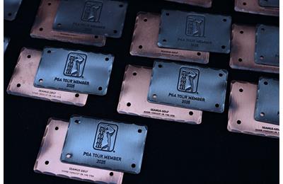 The top 10 DP World Tour players who are not already exempt will earn a PGA Tour card for next season.