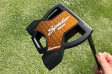 The TaylorMade Spider Tour putter is the second-best mallet putter from our 2025 putter test
